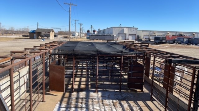 Custom cattle handling pens fabricated by Parker Welding & Fabrication