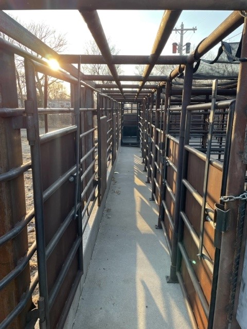 Custom cattle unload alley fabricated by Parker Welding